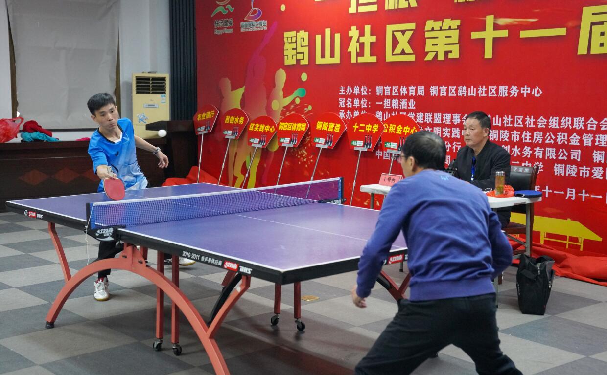 训练和总结 训练和总结